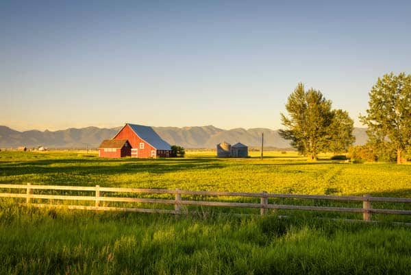 Cannabis Cultivation And Processing Business For Sale