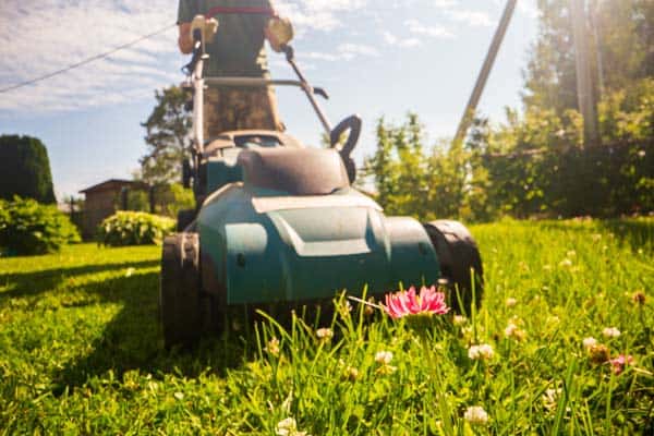 Highly Established Landscaping & Driveway Business for Sale in Hemel Hempstead