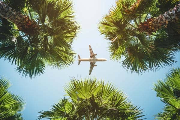 Punta Cana Tourism Business